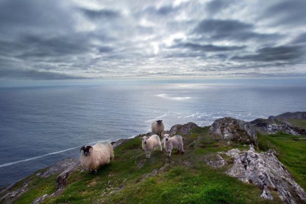Sheeps-Head-Drive-Bantry-on-the-Wild-Atlantic-Way-by-Valerie-OSullivan