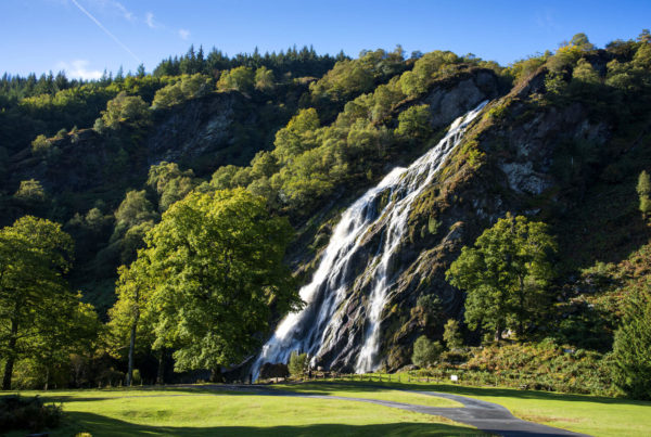 powerscourt waterfall tour from dublin